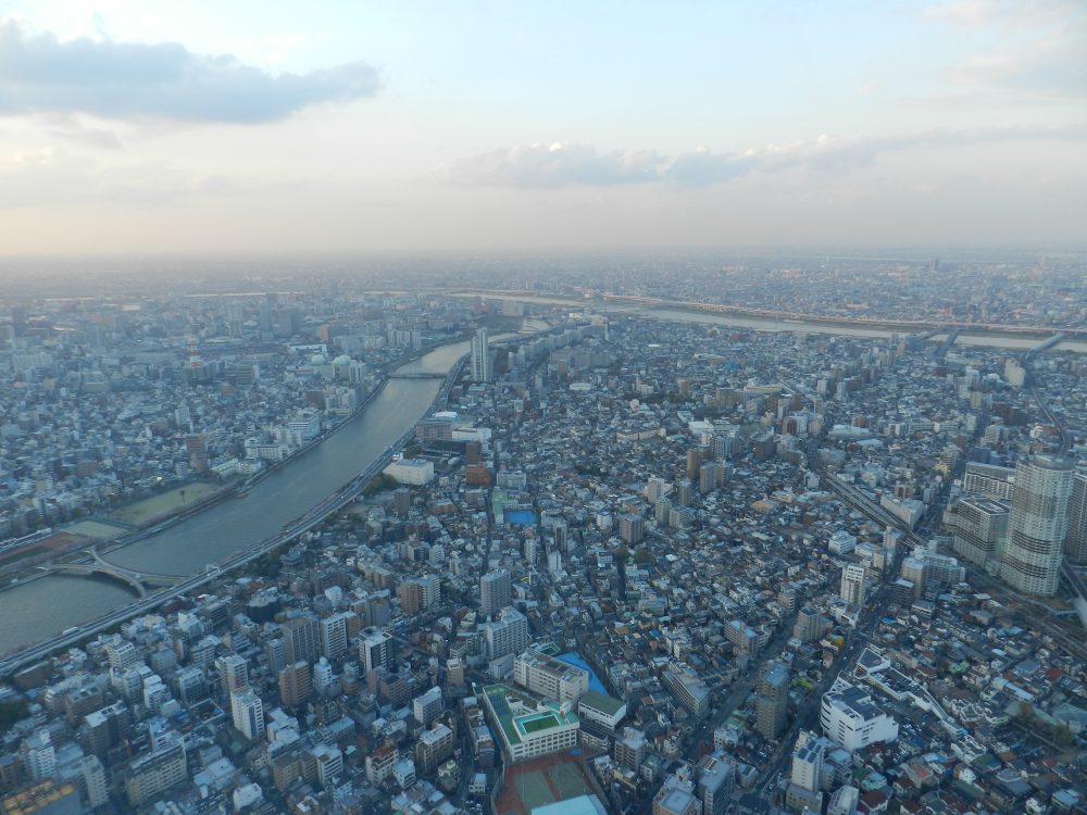 Tokyo Skyline